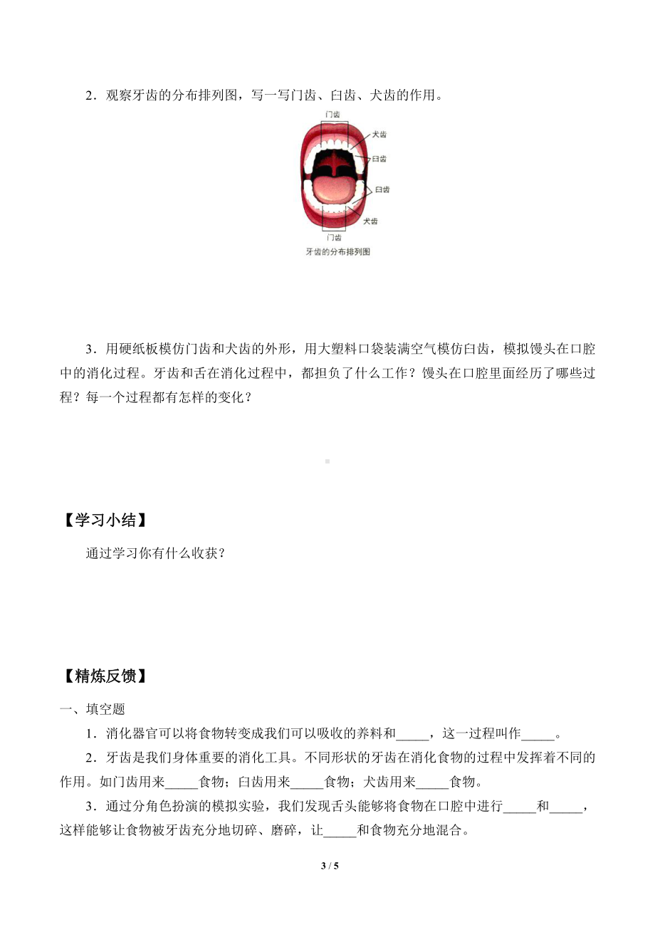 2021新教科版四年级上册科学 2.7 食物在口腔里的变化 学案（无答案）.docx_第3页