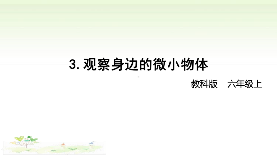 2021新教科版六年级上册科学1-3 《观察身边的微小物体》 ppt课件.pptx_第1页