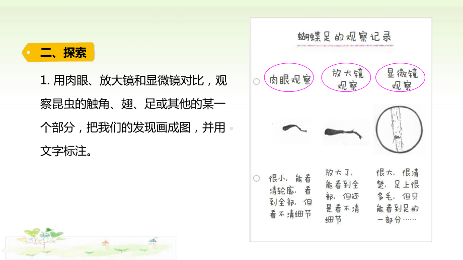 2021新教科版六年级上册科学1-3 《观察身边的微小物体》 ppt课件.pptx_第3页