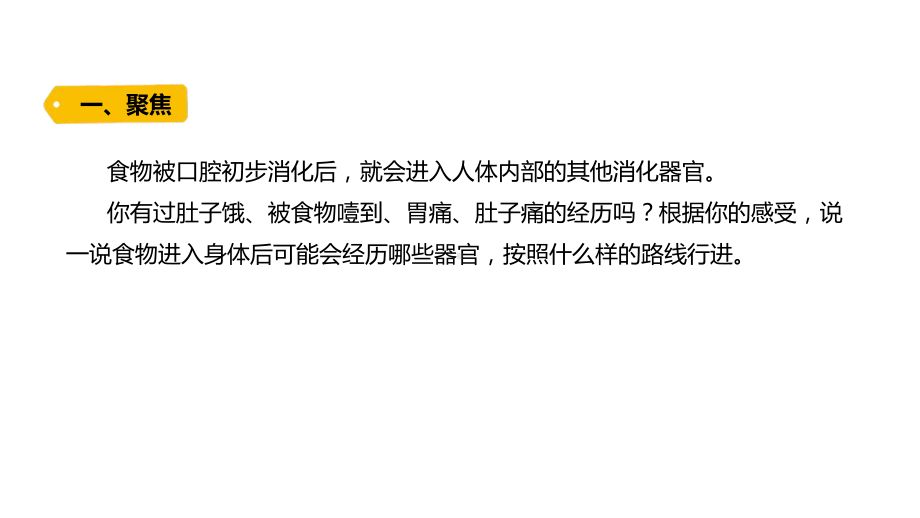 2021新教科版四年级上册科学2.8.《食物在身体里的旅行》 ppt课件.pptx_第2页