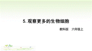 2021新教科版六年级上册科学1-5 《观察更多的生物细胞》 ppt课件.pptx