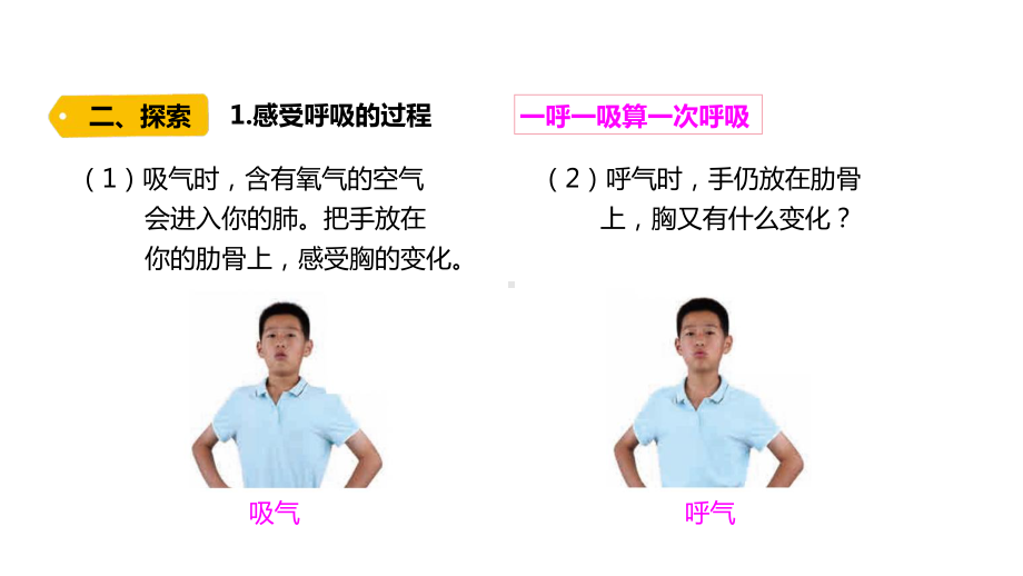 2021新教科版四年级上册科学2.1.《感受我们的呼吸》 ppt课件.pptx_第3页