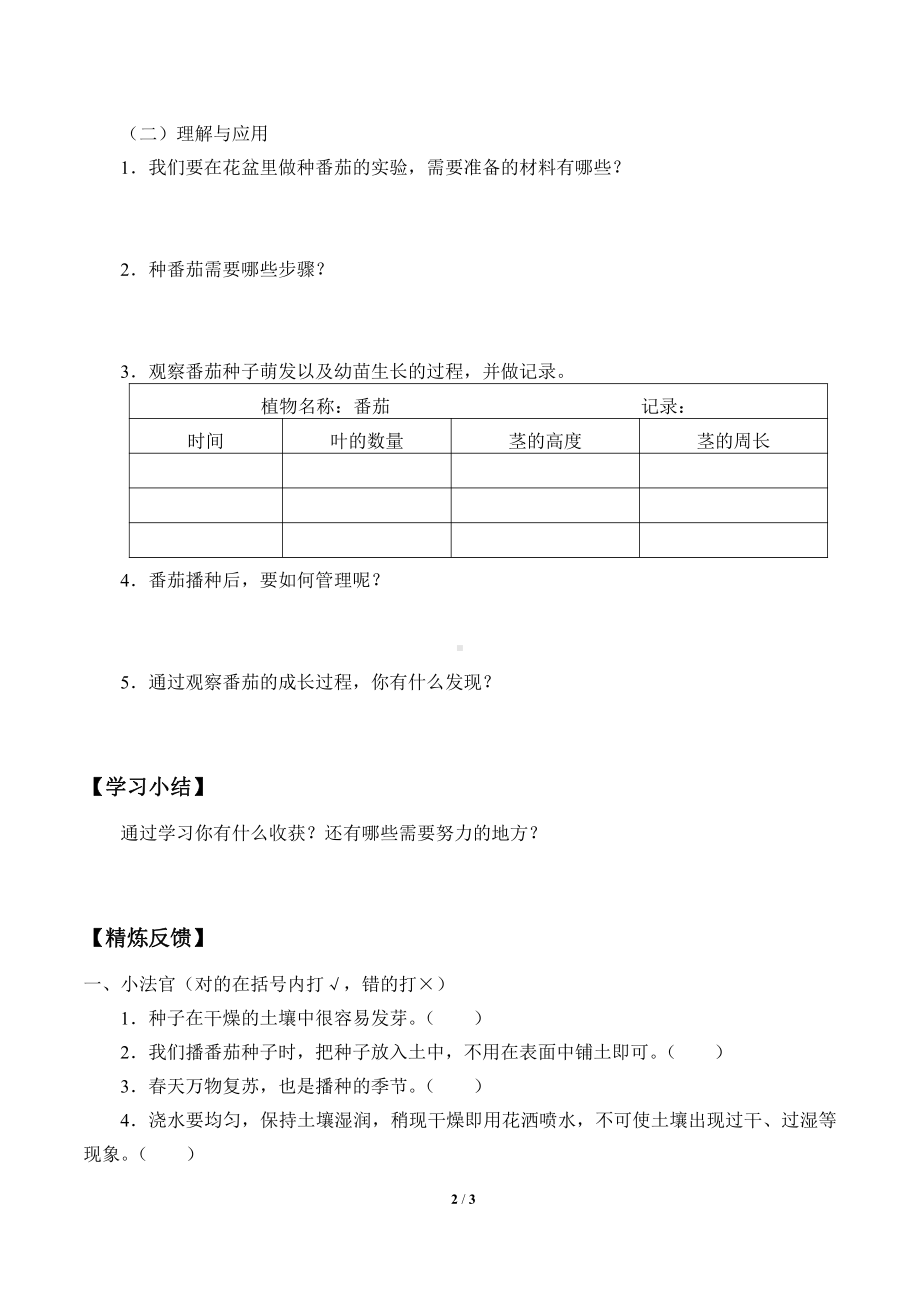 2021新粤教版四年级上册科学 1 种番茄 学案（无答案）.docx_第2页