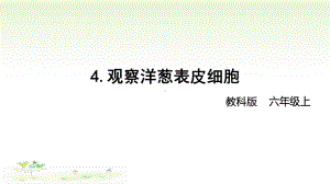 2021新教科版六年级上册科学1-4 《观察洋葱表皮细胞》 ppt课件.pptx