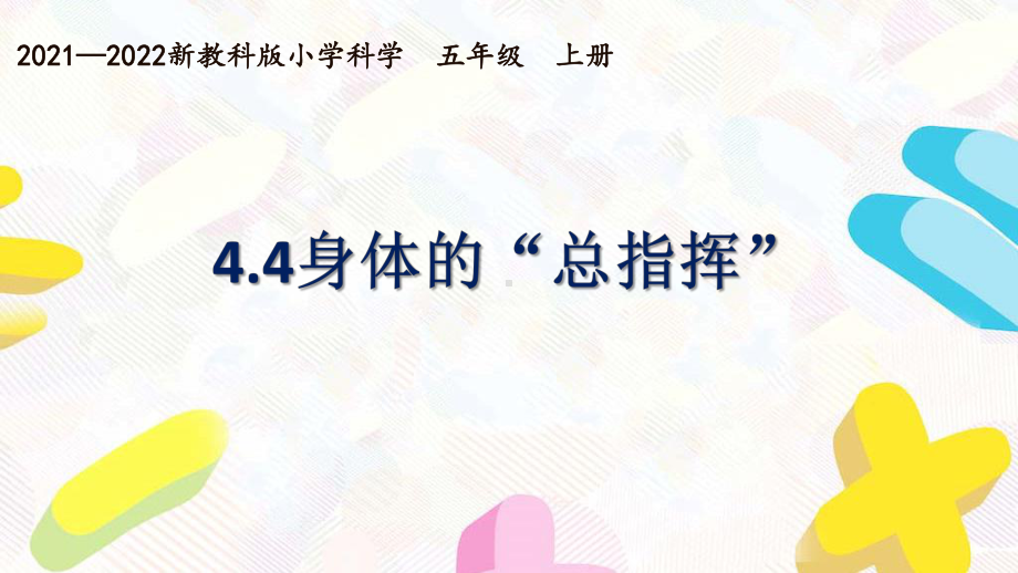 新教科版2021~2022五年级科学上册第四单元《4身体的“总指挥”》课件.pptx_第1页