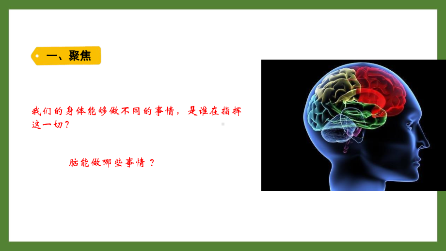 新教科版2021~2022五年级科学上册第四单元《4身体的“总指挥”》课件.pptx_第2页