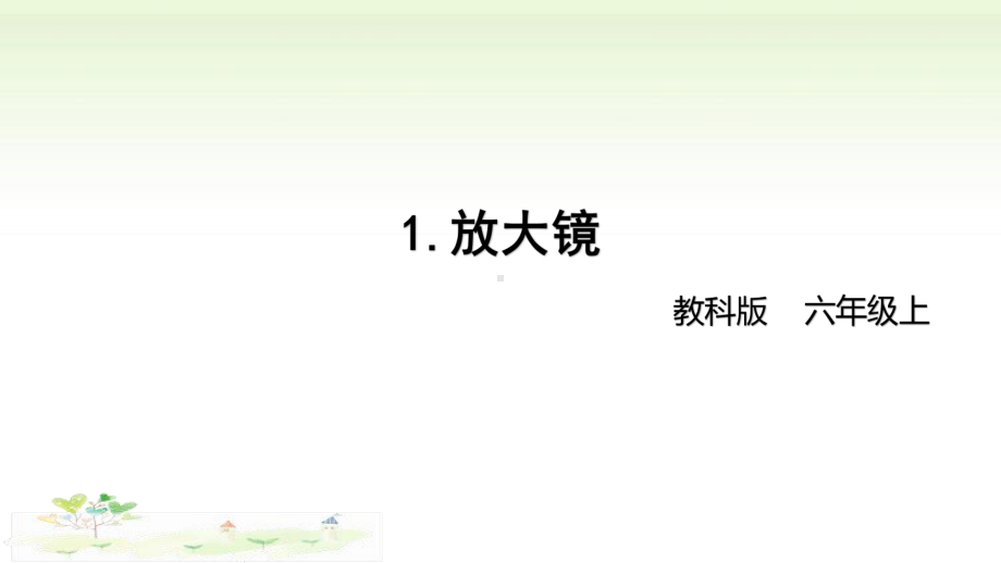 2021新教科版六年级上册科学1-1 《放大镜》 ppt课件.pptx_第1页