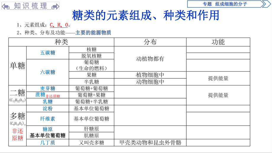 必修1生物新教材人教 第2章组成细胞的分子 复习.pptx_第2页