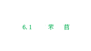 统编版 必修上册语文新教材人教第二单元 6.1 芣苢《诗经·周南》.pptx