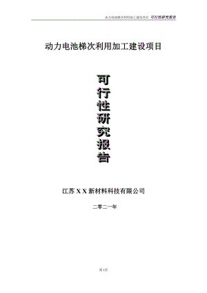 动力电池梯次利用项目可行性研究报告-立项方案.doc