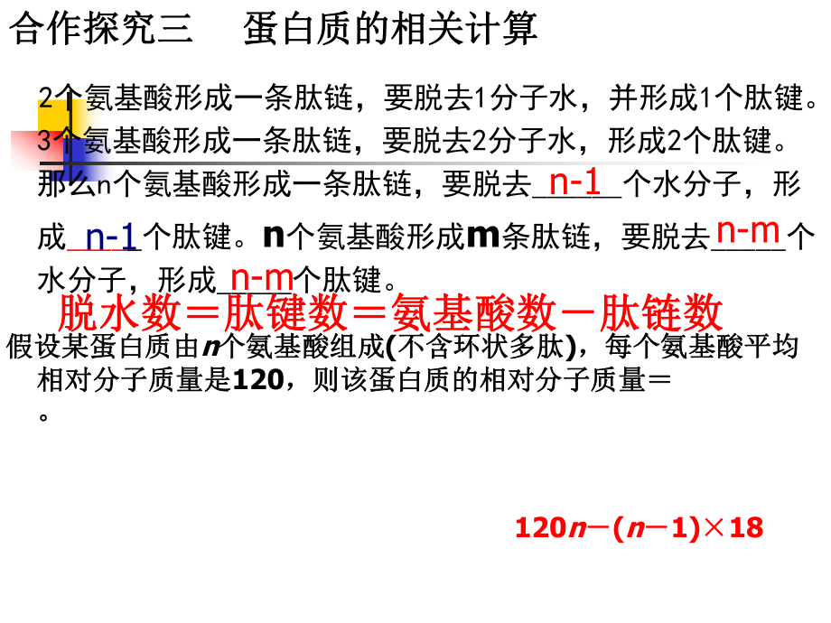 必修1生物新教材人教 2.5遗传信息的携带者.ppt_第3页