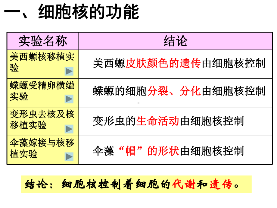 必修1生物新教材人教 3.3 细胞核的结构和功能.ppt_第3页