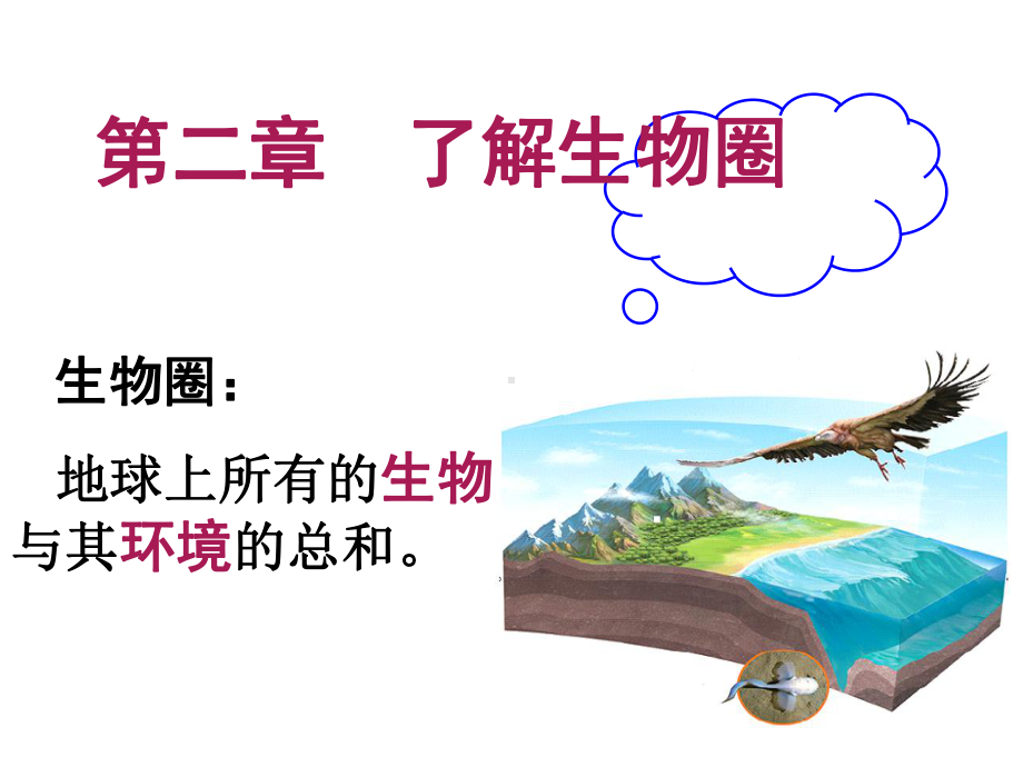 1.2.1生物与环境的关系-课件-2021-2022学年人教版七年级生物上册(1).ppt_第1页