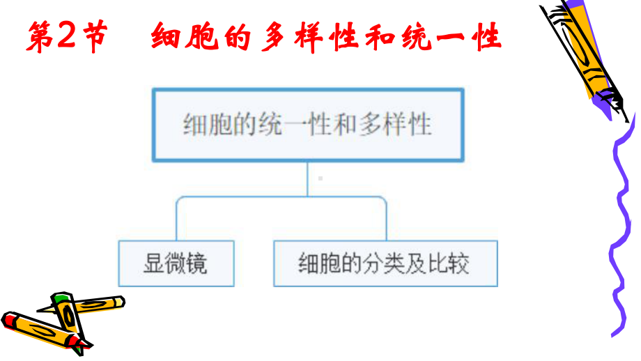 必修1生物新教材人教 1.2细胞的多样性和统一性.ppt_第2页