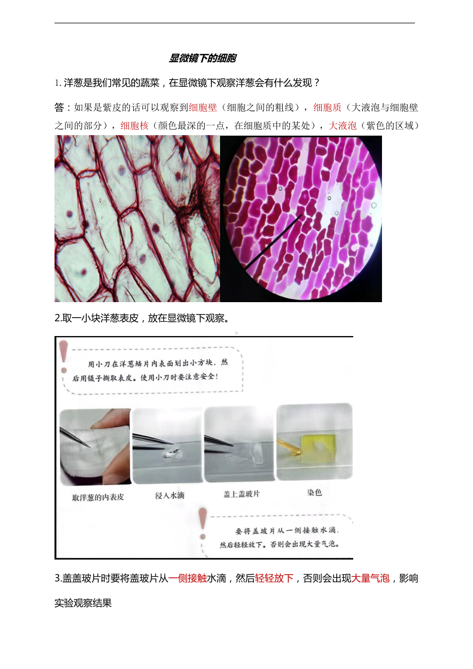 2021新鄂教版五年级上册科学第九课《显微镜下的细胞》知识点总结.doc_第1页