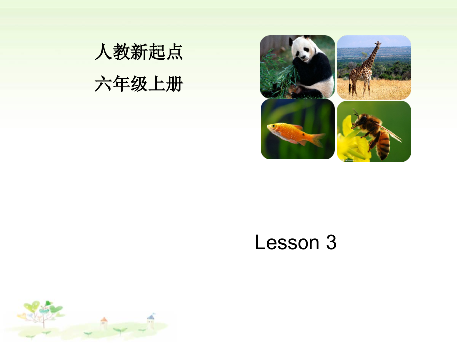 人教版（新起点）六年级上册Unit 3 Animal World-lesson 3-ppt课件-(含教案+视频+音频+素材)-省级公开课-(编号：d05b2).zip