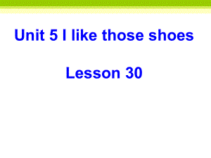 人教精通版四年级上册Unit5 I like those shoes.（Lesson30) ppt课件.ppt