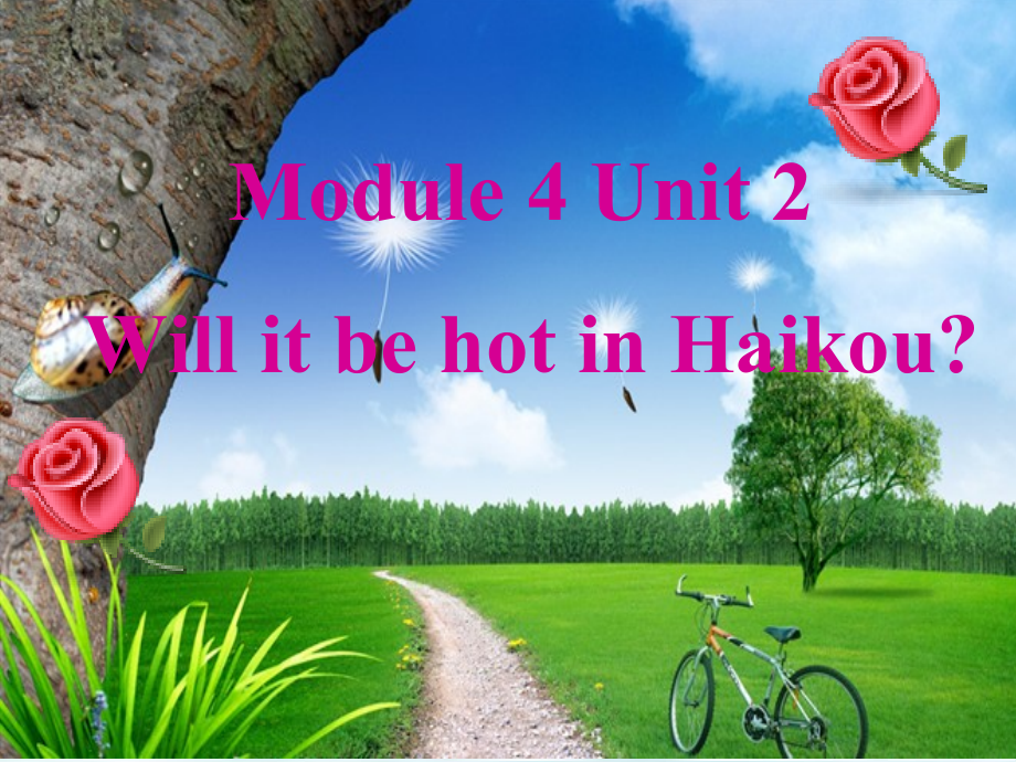 外研版（三起）四下Module 4-Unit 2 Will it be hot in Haikou -ppt课件-(含教案)-市级优课-(编号：8118f).zip