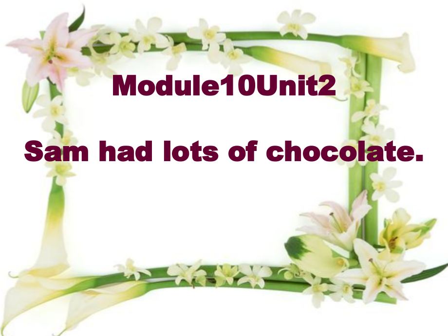 外研版（三起）四下Module 10-Unit 2 Sam had lots of chocolate.-ppt课件-(含教案)-公开课-(编号：319df).zip