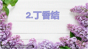 六年级语文上册课件：2 丁香结（部编版）(6).ppt