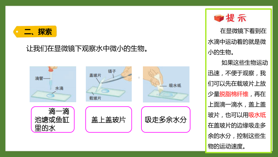 新教科版2021-2022六年级科学上册第一单元 《6.观察水中微小的生物》课件.pptx_第3页