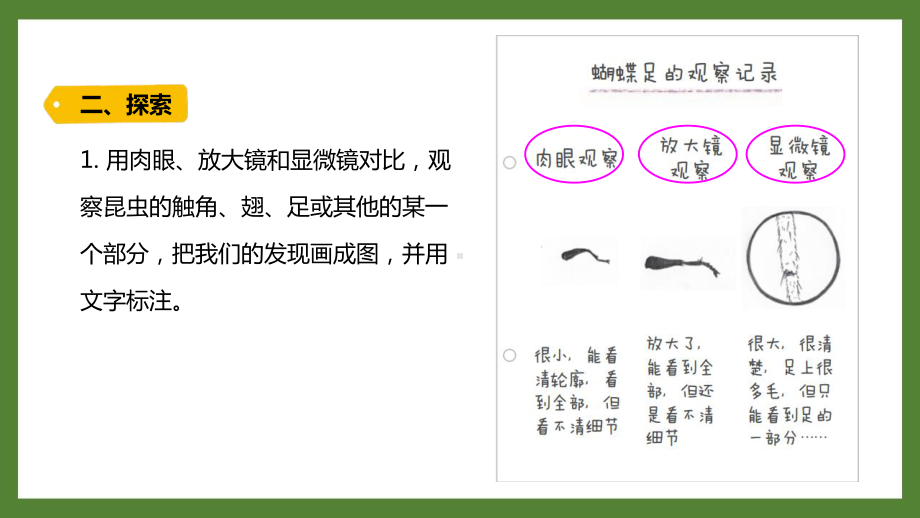 新教科版2021-2022六年级科学上册第一单元 《3.观察身边的微小物体》课件.pptx_第3页