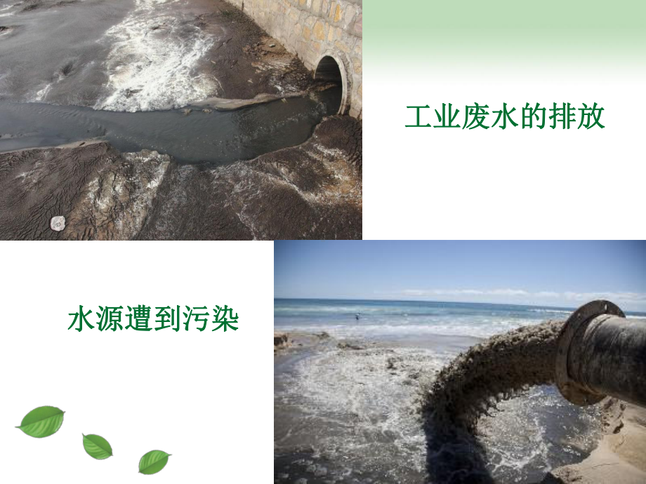 湘美版六年级上册《美术》9.生命的甘露ppt课件.ppt_第3页