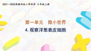 新教科版2021-2022六年级科学上册第一单元 《4.观察洋葱表皮细胞》课件.pptx