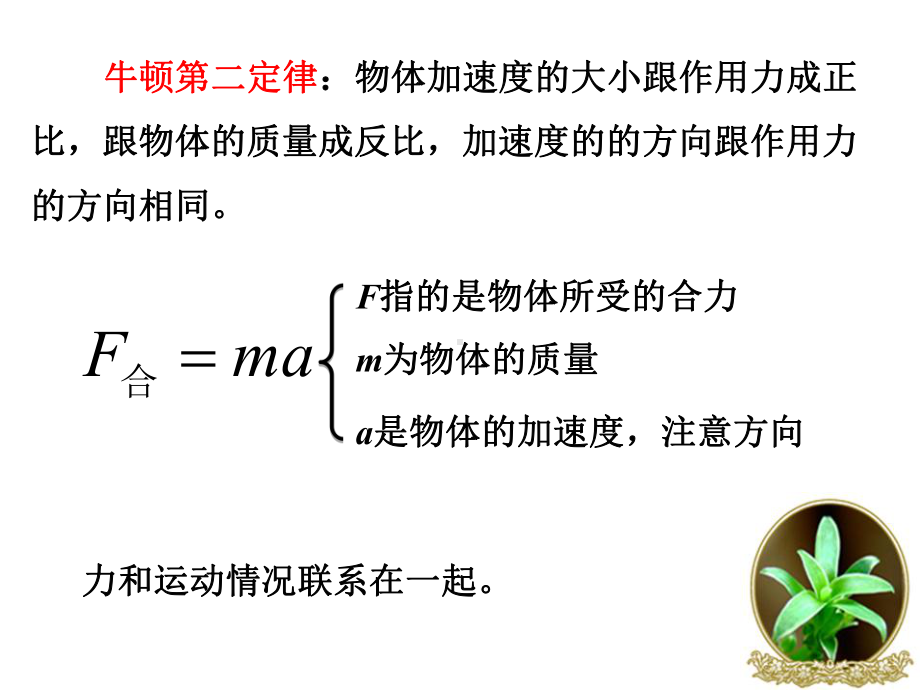 （2021新人教版）高中物理必修第一册4.5 牛顿运动定律的应用ppt课件.ppt_第3页