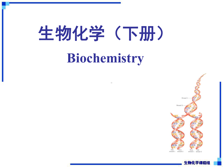 生物化学下课件全册配套完整精品课件.ppt_第2页