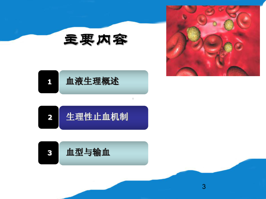 动物生理学全册配套完整精品课件.ppt_第3页