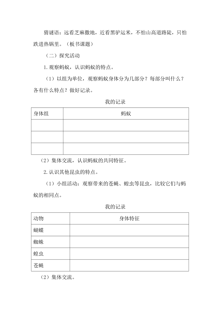 2021新青岛版（六三制）四年级上册科学1.蚂蚁 教案.doc_第2页