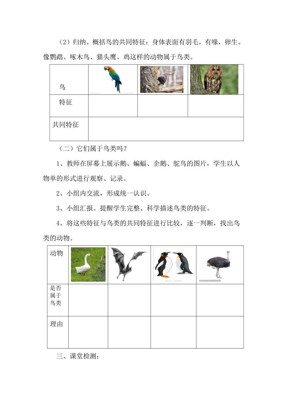 2021新青岛版（六三制）四年级上册科学3《鸟》教学设计 教案.doc_第3页