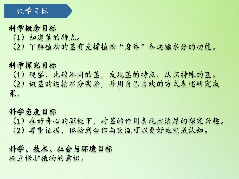 2021新青岛版（六三制）三年级上册科学7植物的茎ppt课件.pptx_第2页