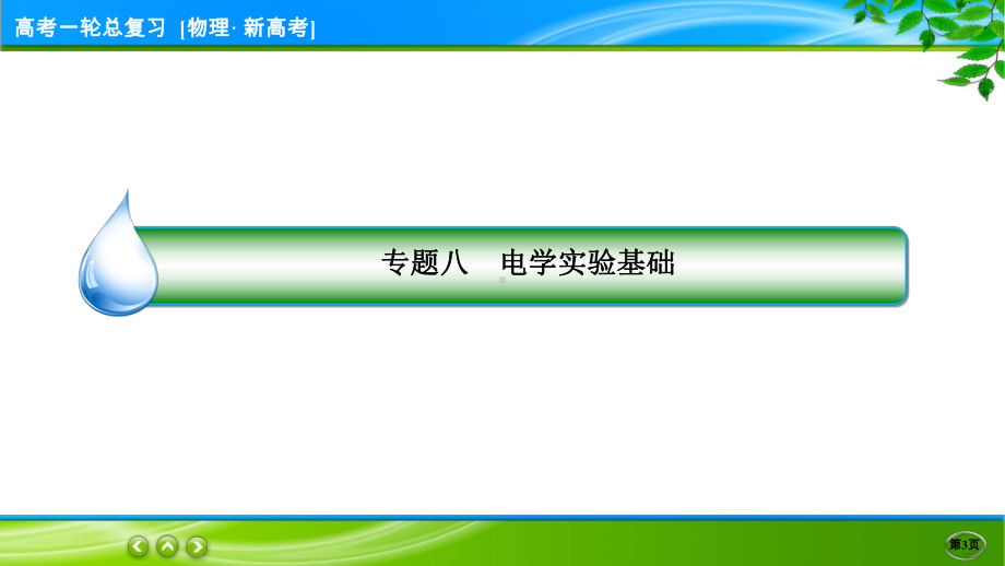 伴你行一轮总复习物理(新高考) 专题8.ppt_第3页