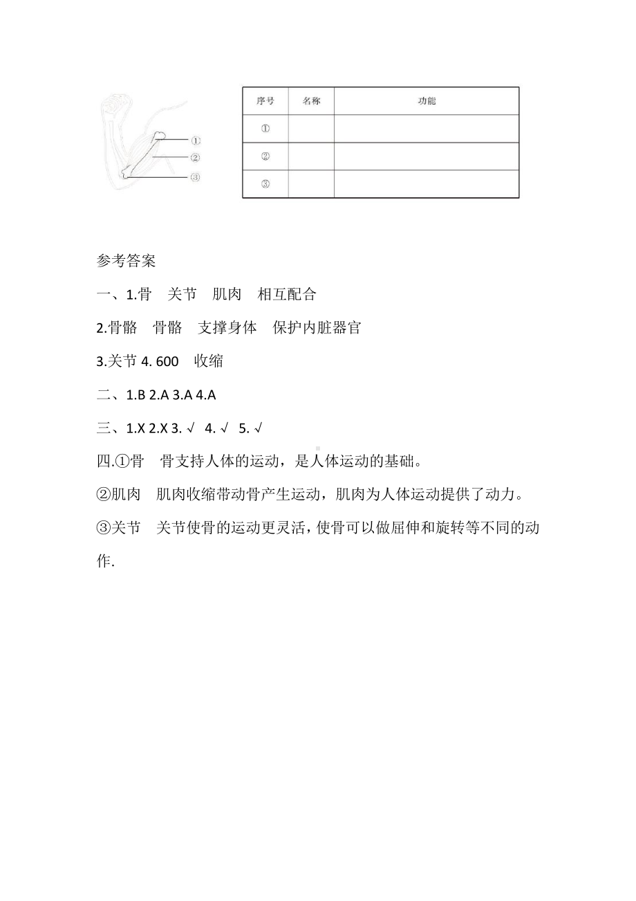 2021新教科版五年级上册科学4.2 身体的运动 一课一练（含答案）.doc_第3页