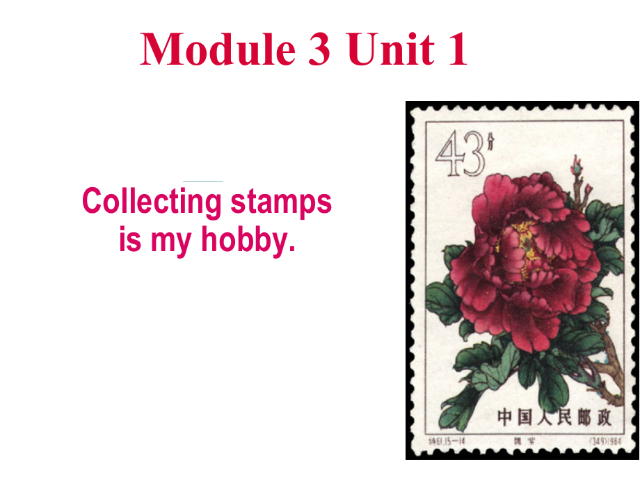 外研版（三起）六上Module 3-Unit 1 Collecting stamps is my hobby.-ppt课件-(含教案)-市级优课-(编号：40c2a).zip