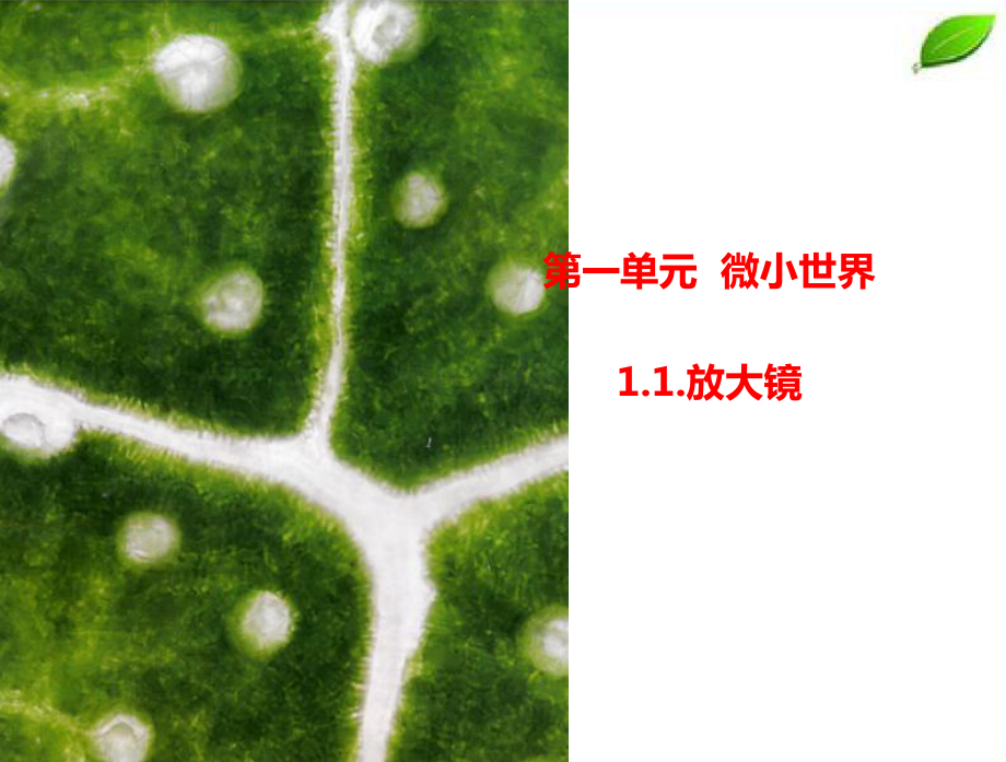 2021新教科版科学六年级上册学生活动手册参考答案 课件.pptx_第2页