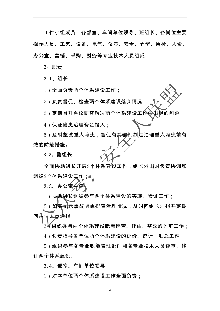 双体系建设实施方案.docx_第3页