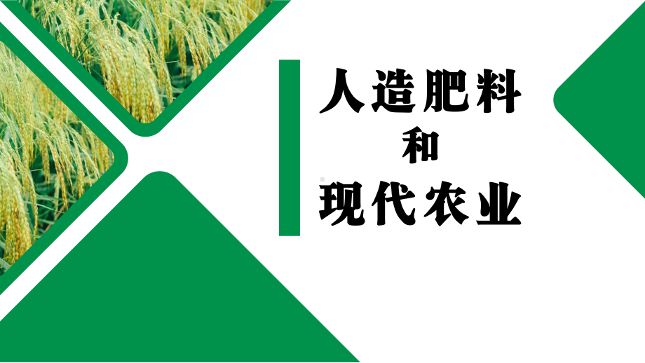 2021新苏教版六年级上册科学5.16人造肥料与现代农业 ppt课件.pptx_第1页