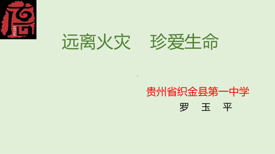 《远离火灾珍爱生命》安全教育主题班会ppt课件（28张幻灯片）.pptx_第2页