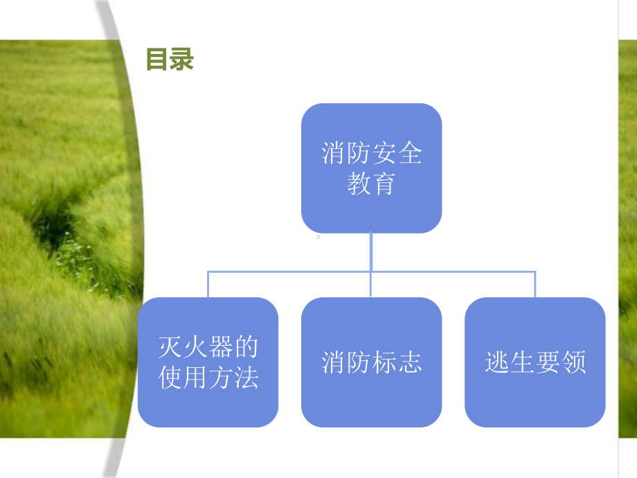 学校消防安全教育-高中主题班会ppt课件.ppt_第3页