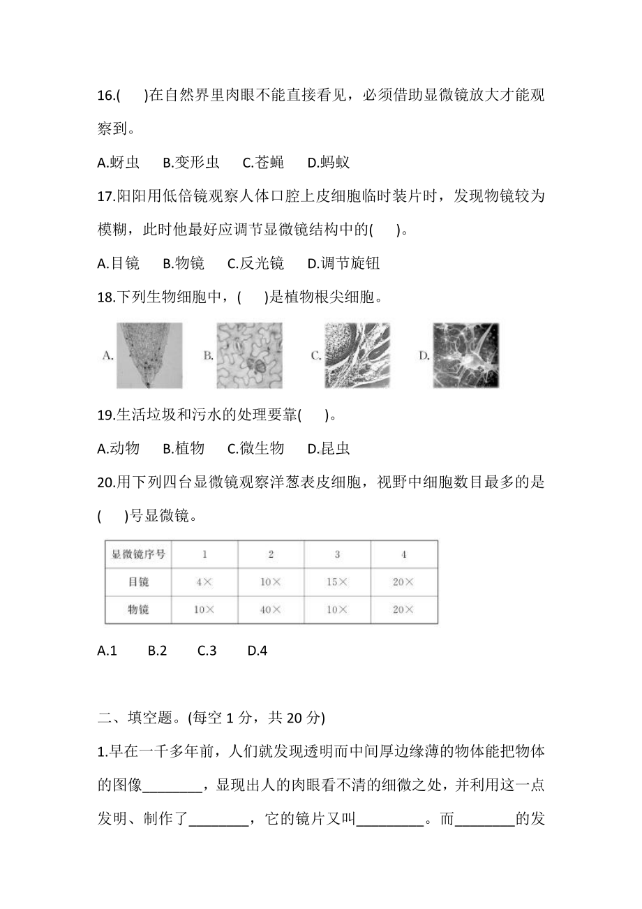 2021新教科版六年级上册科学第一单元 微小世界 过关检测卷(基础卷) (含答案).doc_第3页