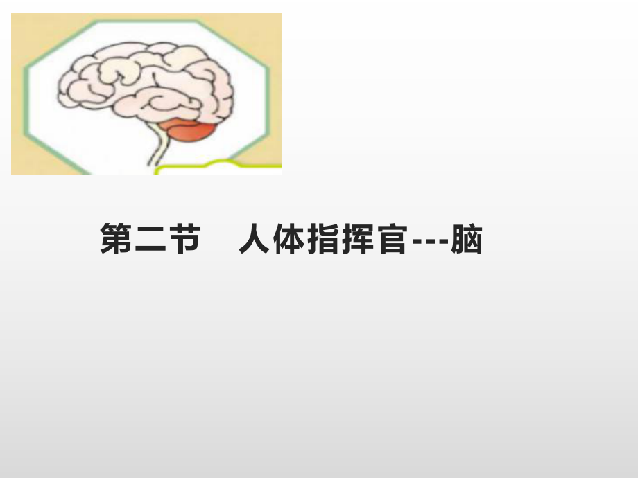 2021新湘科版五年级上册科学1.2人体指挥官-脑ppt课件.pptx_第1页