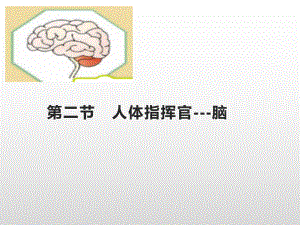 2021新湘科版五年级上册科学1.2人体指挥官-脑ppt课件.pptx