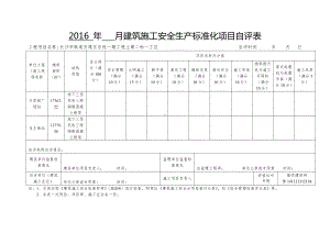 施工安全生产标准化项目自评表（二标一工区）.doc