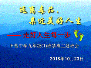 禁毒教育主题班会ppt课件(共38张PPT).ppt