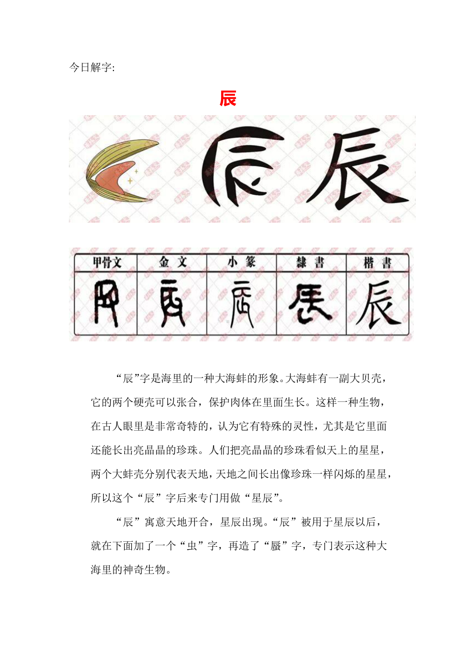 （汉字深度解析）今日解字：辰.docx_第1页