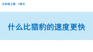 扬州部编版五年级语文上册第二单元《什么比猎豹的速度更快》课件.pptx