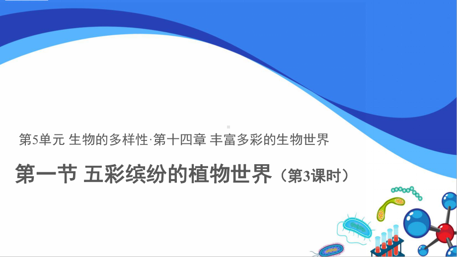 苏教版生物八年级上册：14.1五彩缤纷的植物世界（第3课时）.ppt_第1页